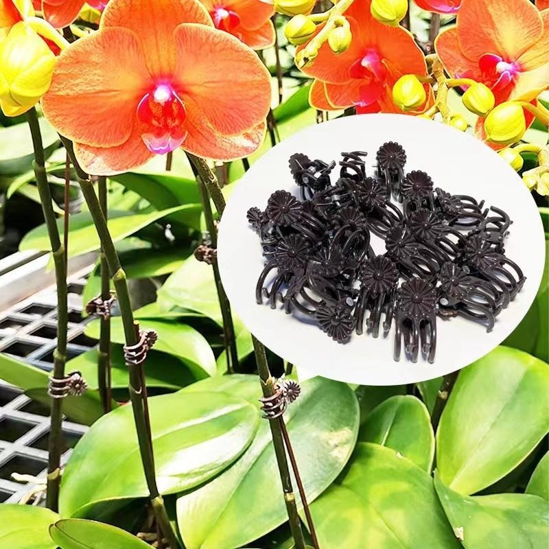Оптовые мини-зажимы для поддер – обзор и цена Gardening Tools Wholesale
