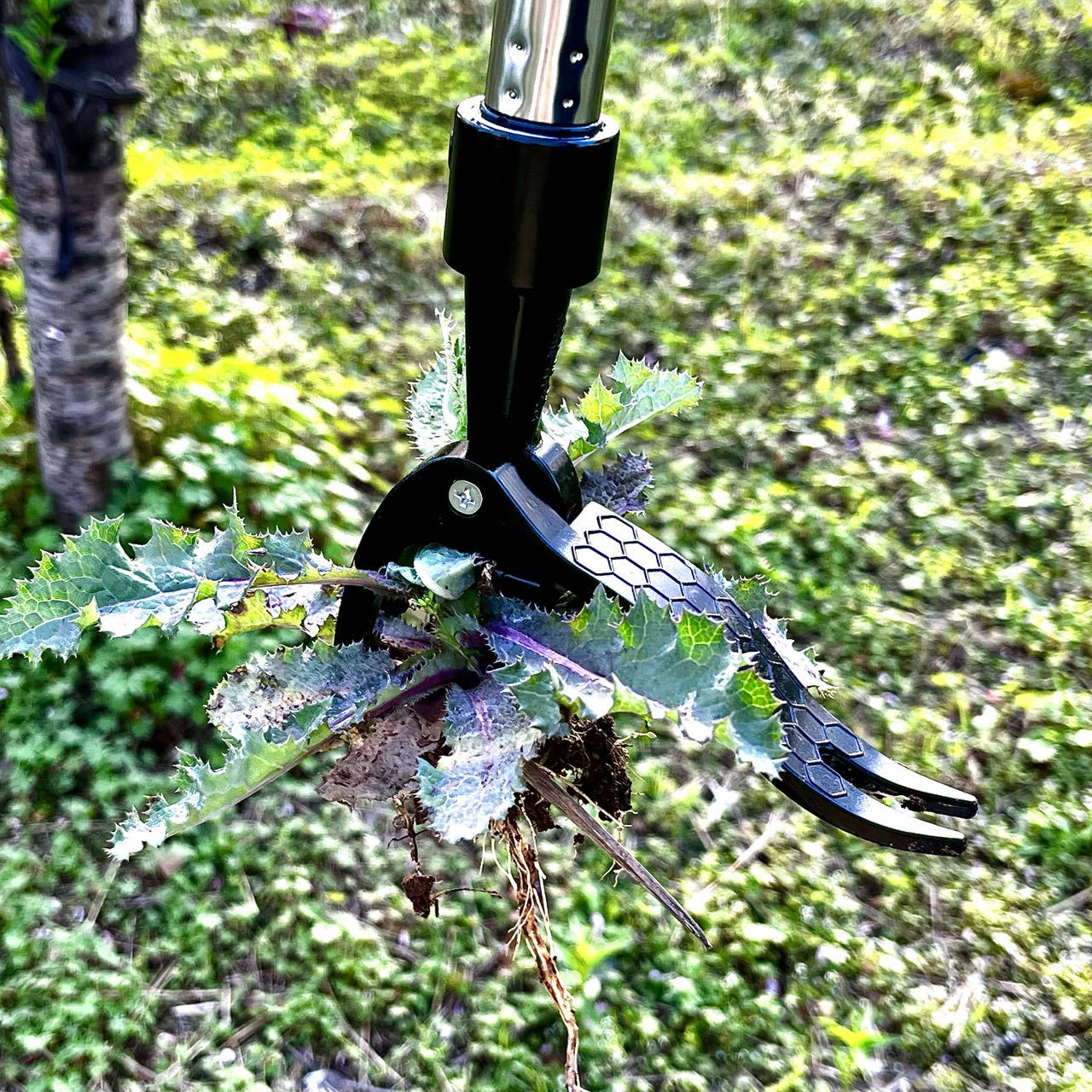 Ручной металлический экстракто – обзор и цена Gardening Tools You Need