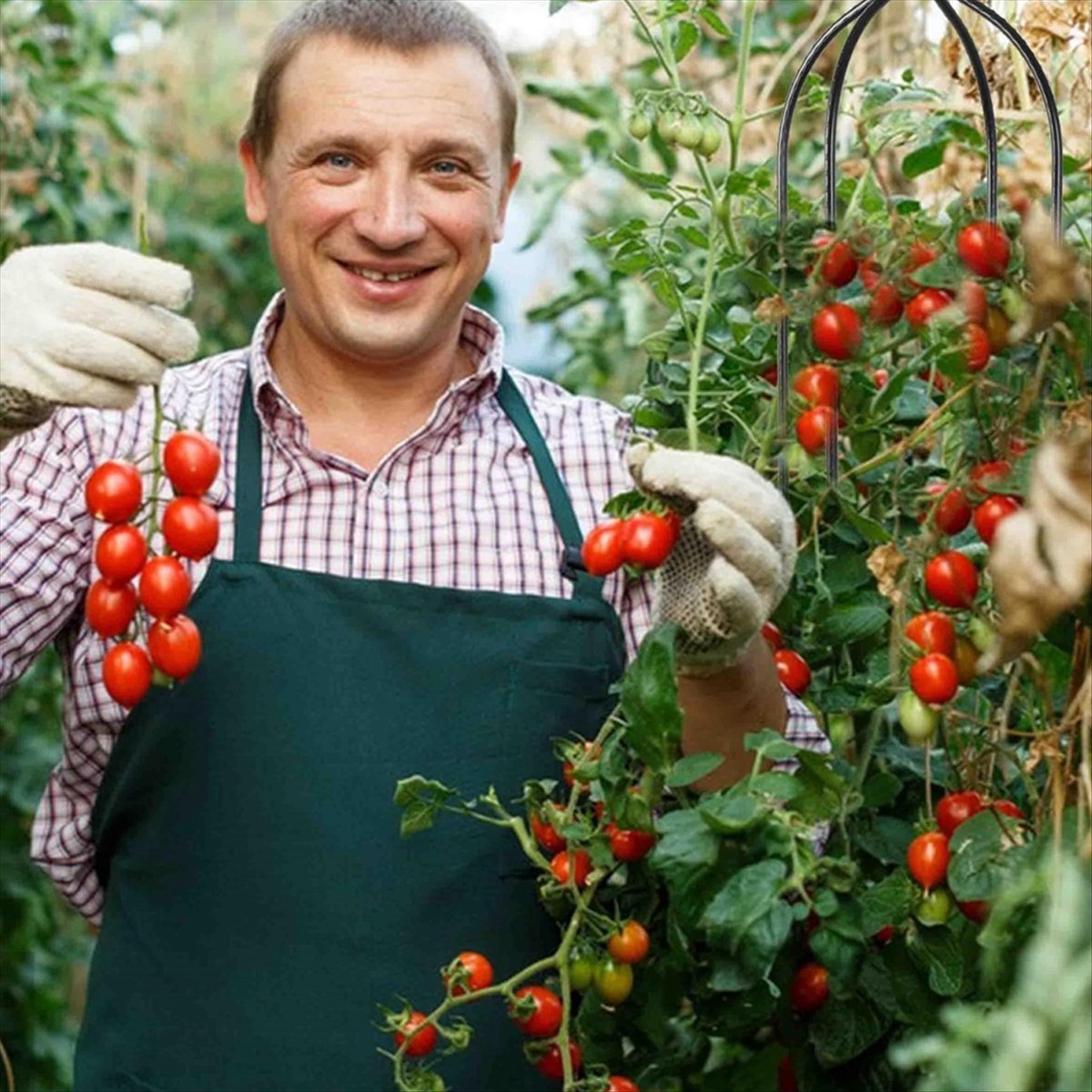Опора-обелиск для вьющихся рас – обзор и цена Gardening Tools B&M