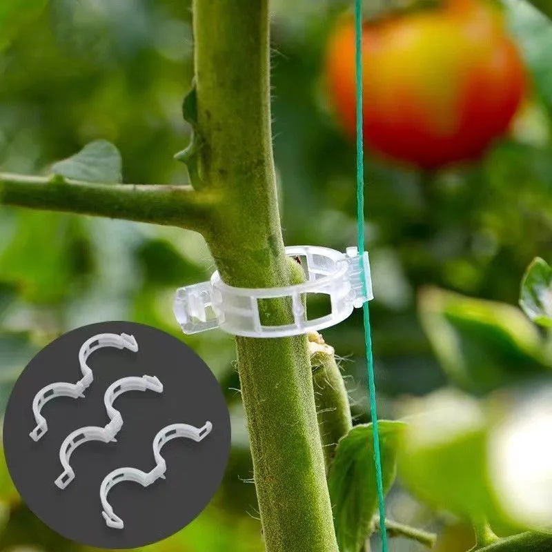 Оптовые садовые зажимы для рас – обзор и цена Gardening Tools Wholesale