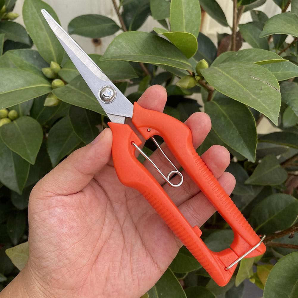 Профессиональные садовые секат – обзор и цена Gardening Tools Wholesale