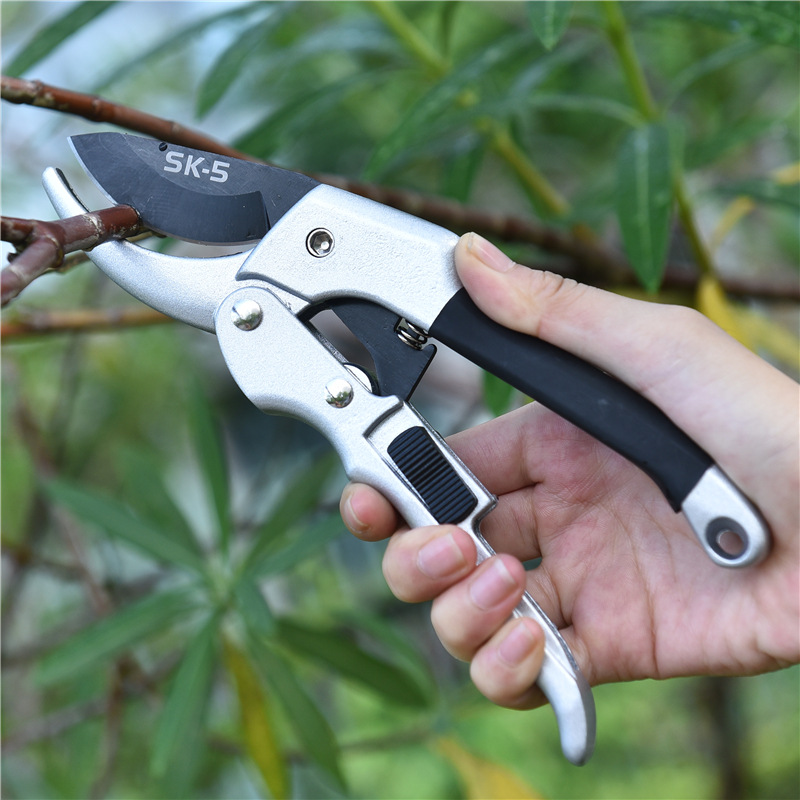 Новый 20 см трещотка, отделка  – обзор и цена Garden Hand Trowel