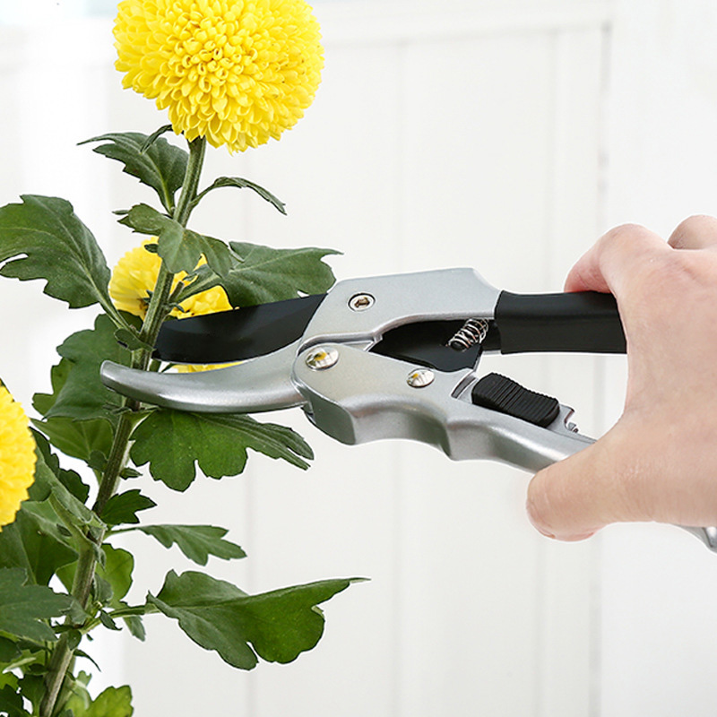 Новый 20 см трещотка, отделка  – обзор и цена Garden Hand Trowel