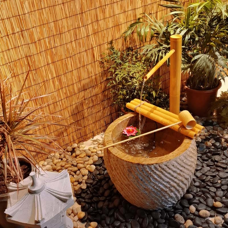 Японский бамбук Jinglu каменна – обзор и цена Gardening Hand Tools Japanese